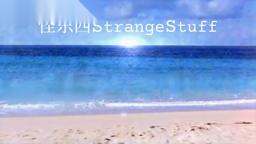 分镜参考图 053